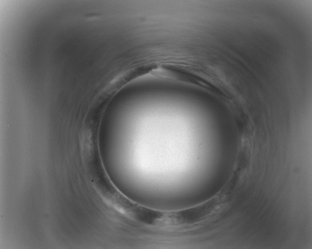 X0000081610211200701221211