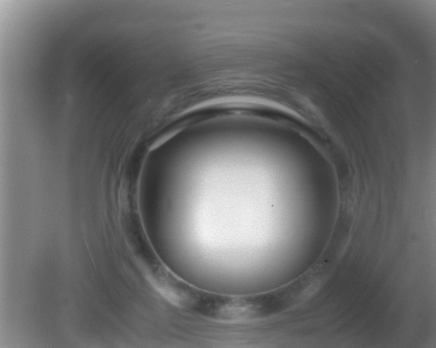 X0000081610213200701221211