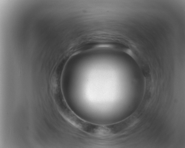 X0000081610215200701221210