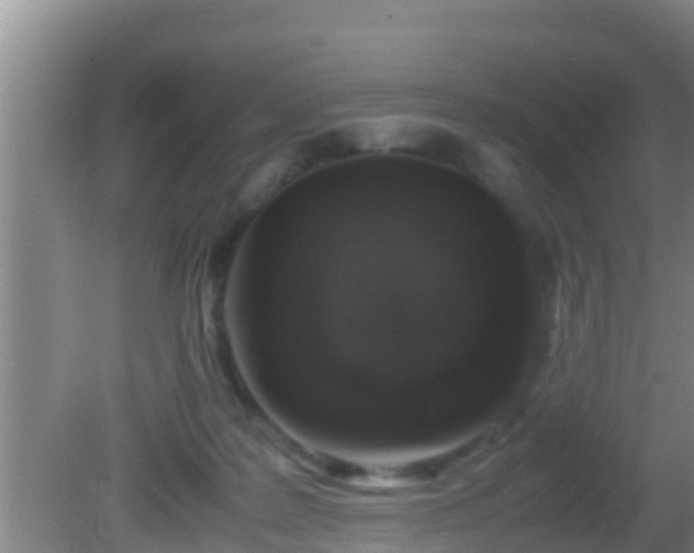 X0000081610219200701221210