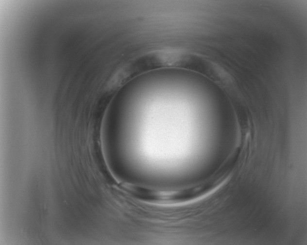 X0000081610221200701221210