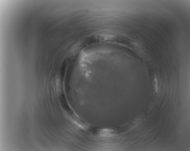 X0000081610222200701221210