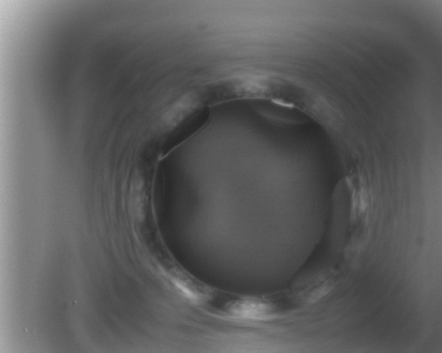 X0000081610223200701221210