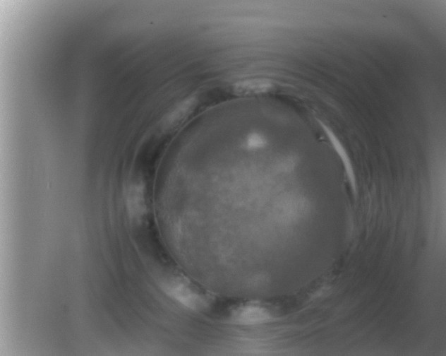 X0000081610224200701221210