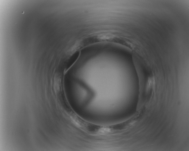 X0000081610227200701221210