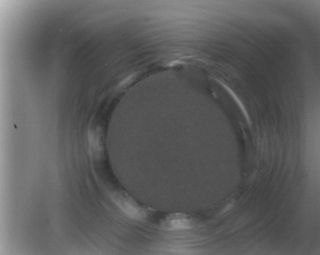 X0000081610228200701221210