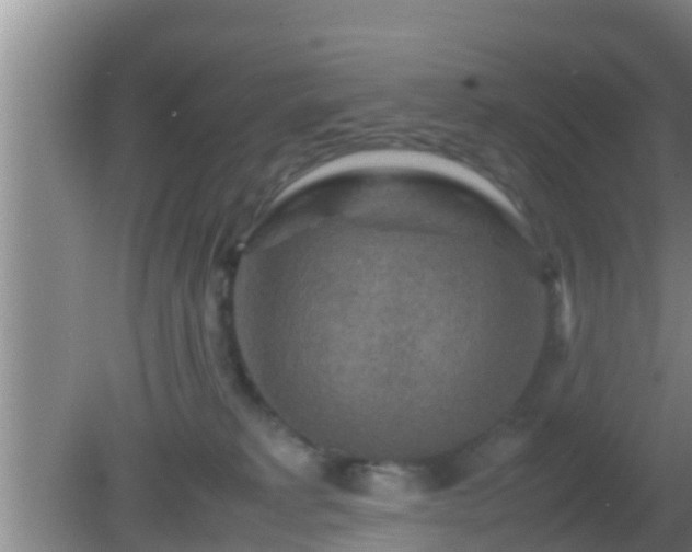 X0000081610229200701221210