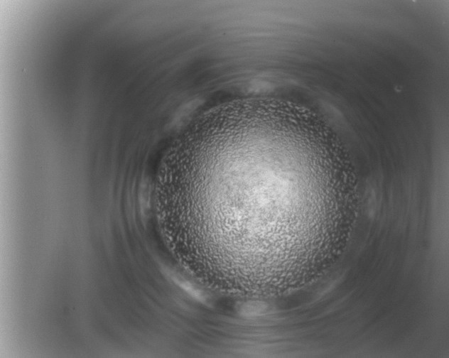 X0000081610230200701221210