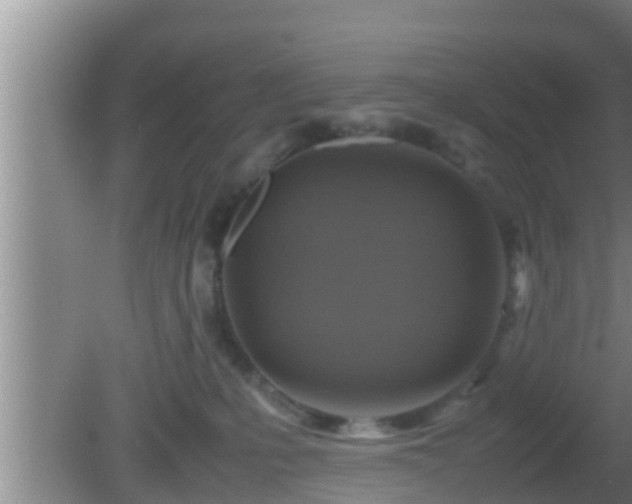 X0000081610231200701221210