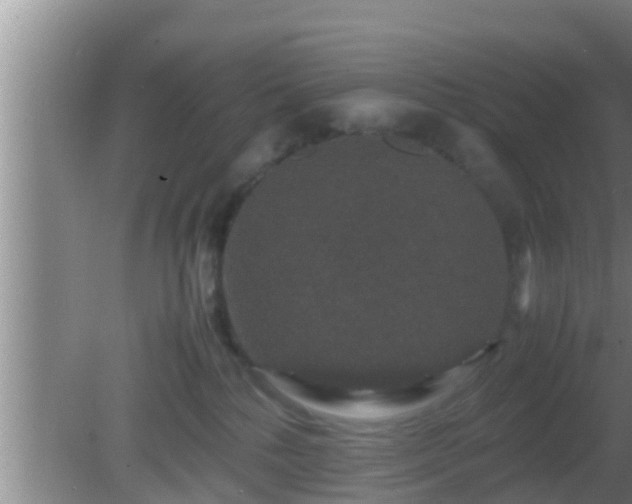 X0000081610232200701221210