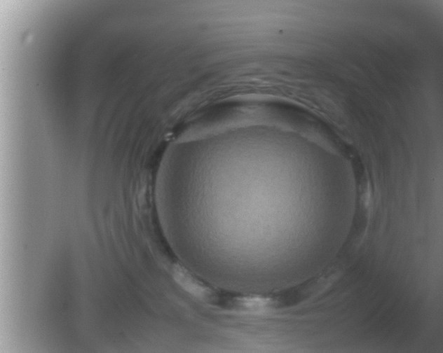 X0000081610233200701221210