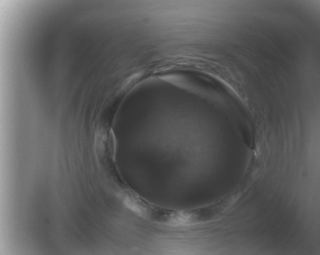 X0000081610235200701221210