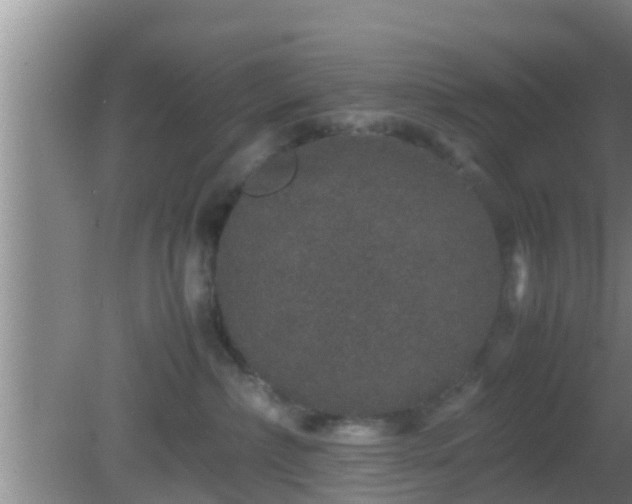 X0000081610236200701221210