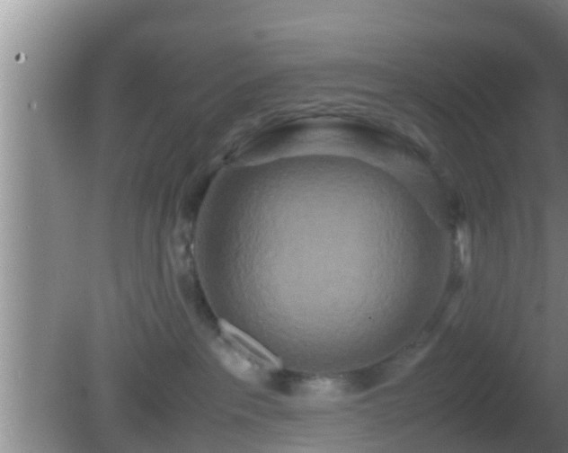 X0000081610237200701221210