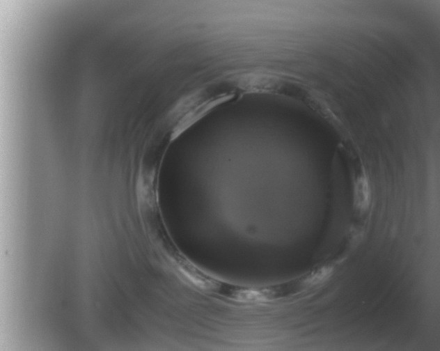 X0000081610239200701221210