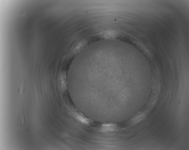 X0000081610240200701221210