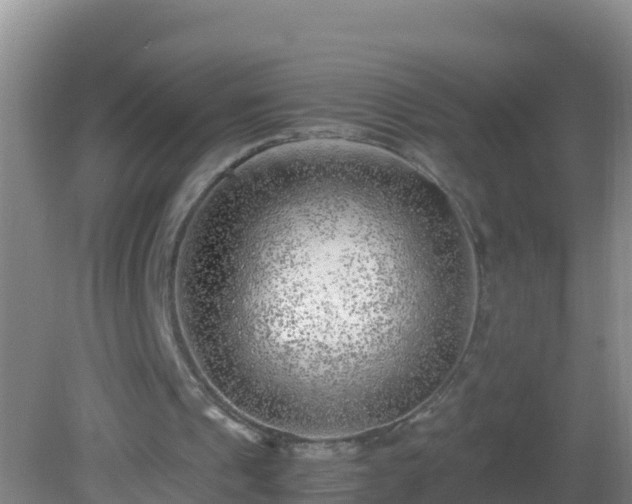 X0000081610241200701221209