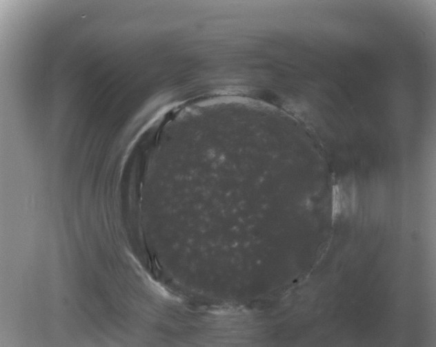 X0000081610243200701221209