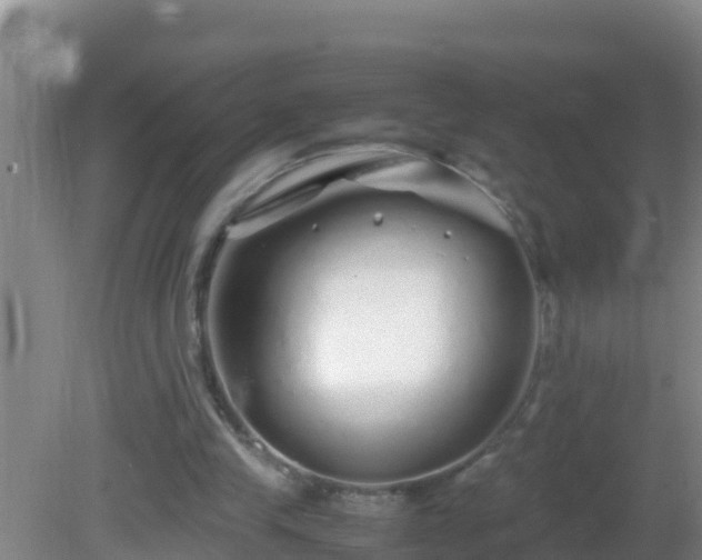 X0000081610245200701221209