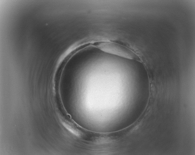 X0000081610246200701221209