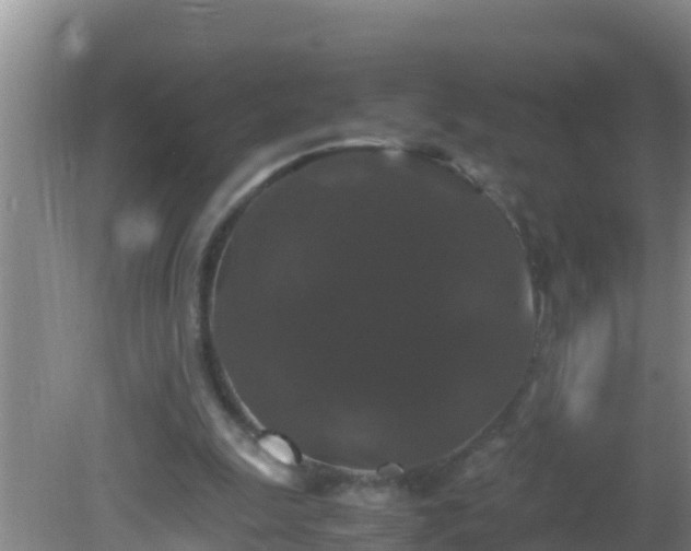 X0000081610247200701221209