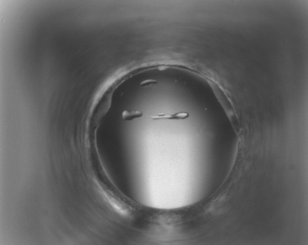 X0000081610248200701221209