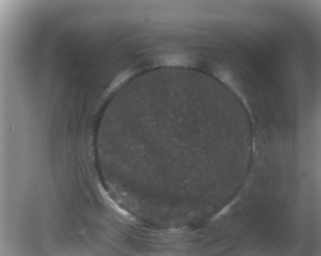 X0000081610249200701221209