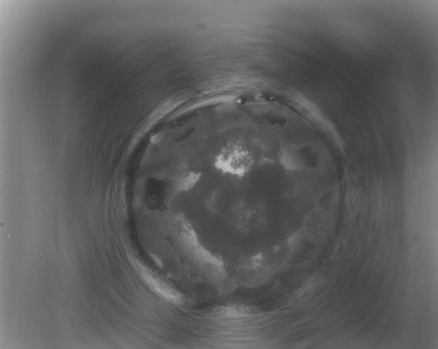 X0000081610250200701221209