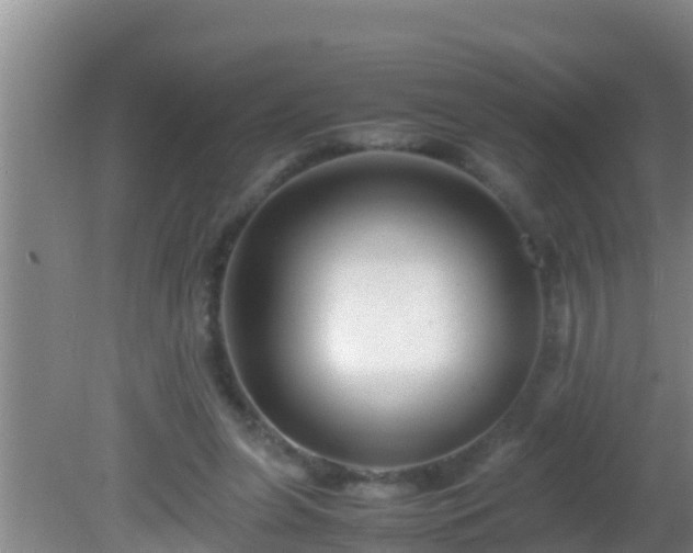 X0000081610255200701221209