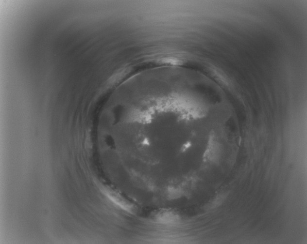 X0000081610258200701221210