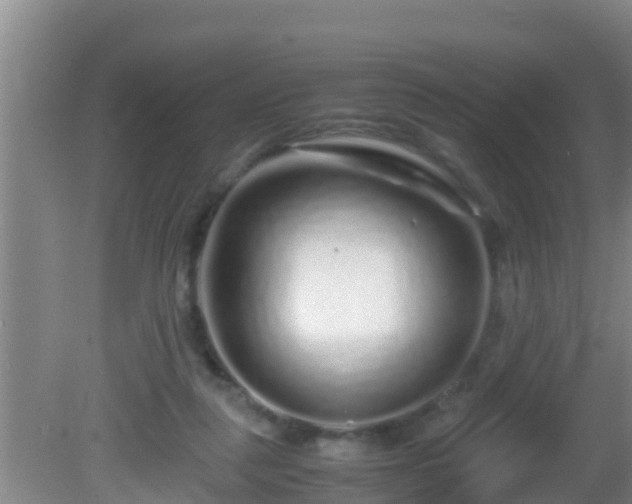 X0000081610259200701221210