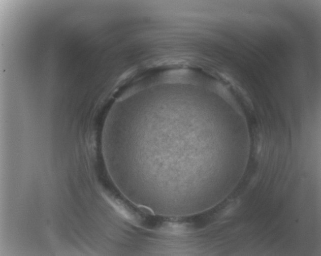 X0000081610260200701221210