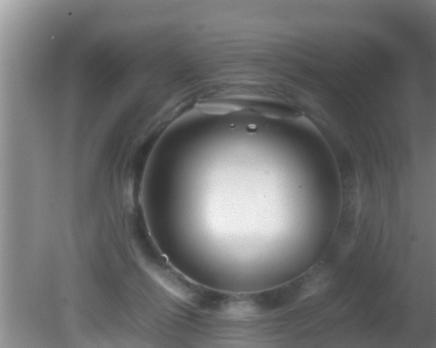 X0000081610262200701221210