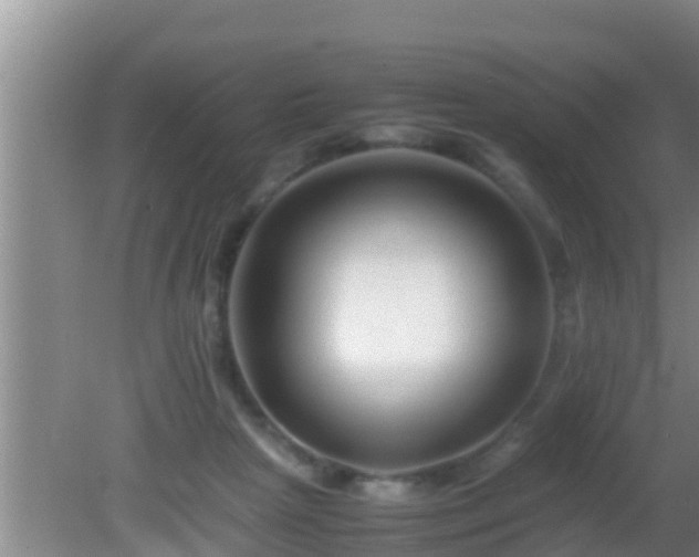 X0000081610265200701221210