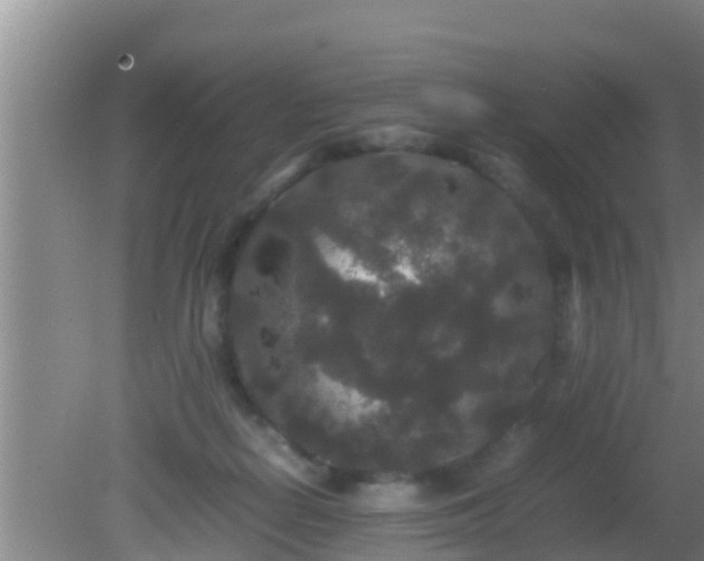 X0000081610266200701221210