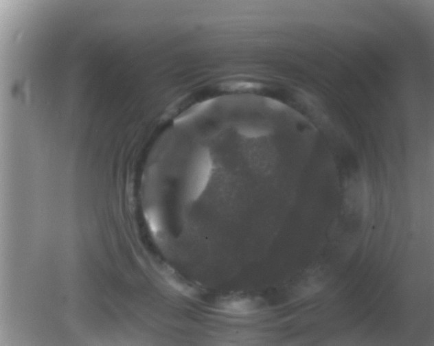 X0000081610267200701221210