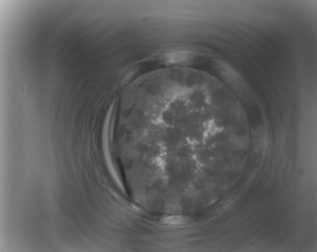 X0000081610269200701221210