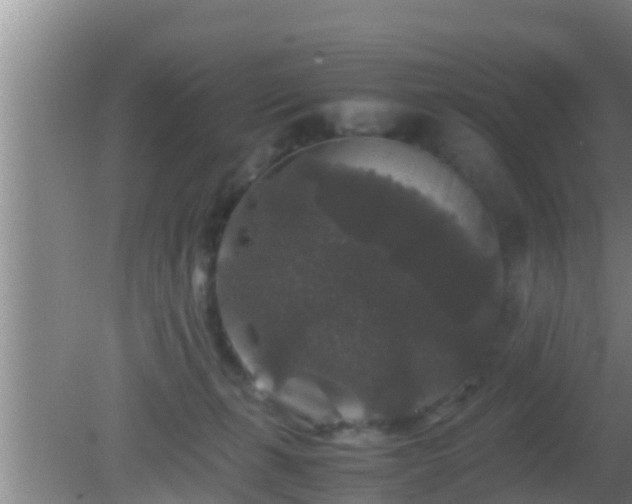 X0000081610271200701221210