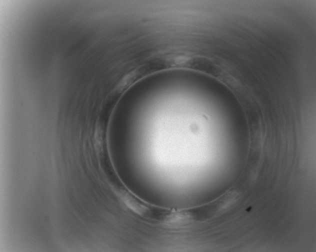 X0000081610274200701221210