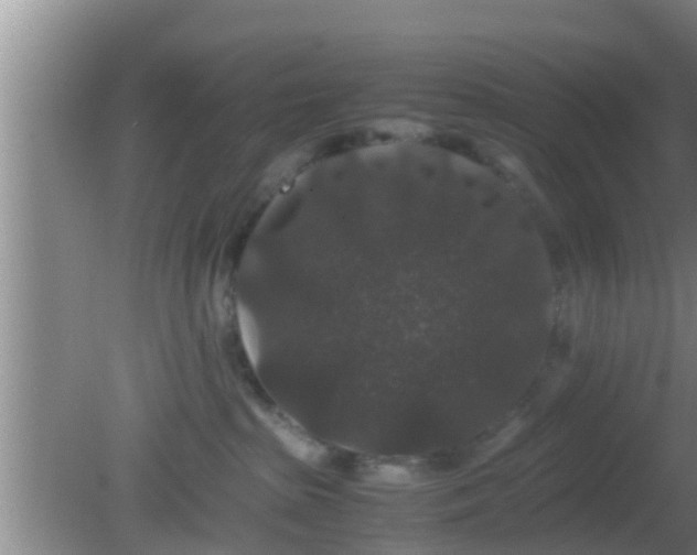 X0000081610285200701221210