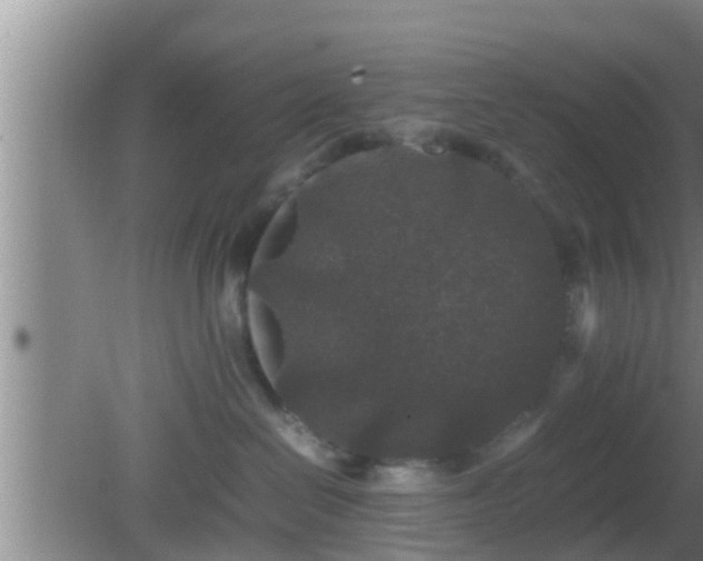 X0000081610286200701221210