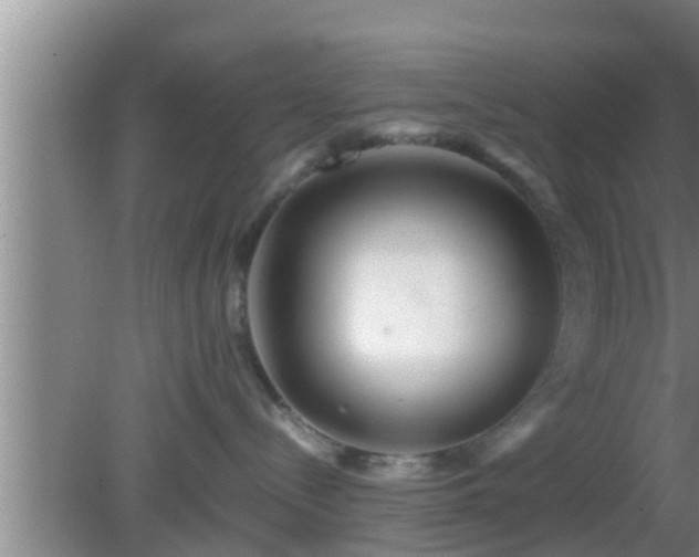 X0000081610288200701221210