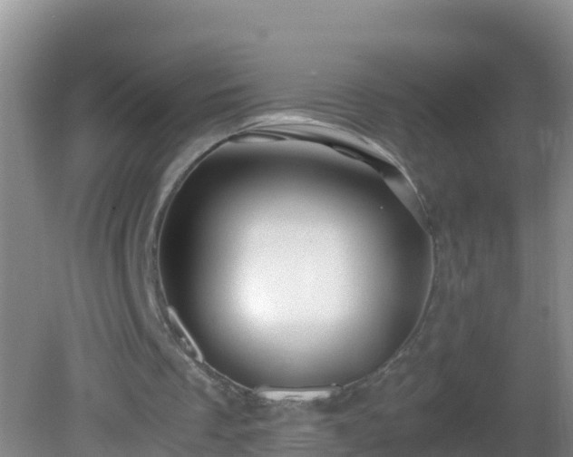 X0000081610289200701221209