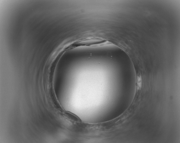 X0000081610291200701221209