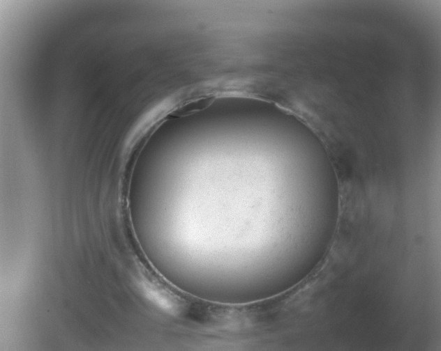 X0000081610293200701221209