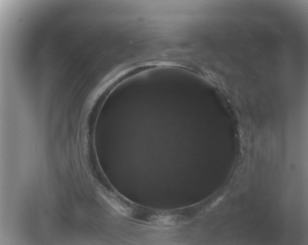 X0000081610295200701221209