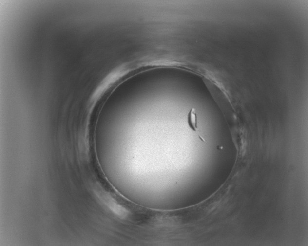 X0000081610296200701221209