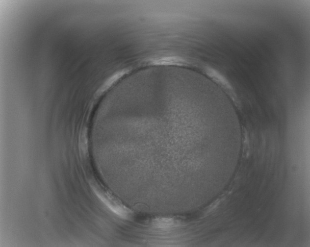 X0000081610298200701221209