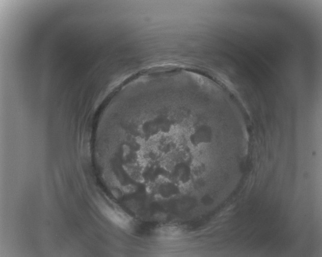 X0000081610299200701221209