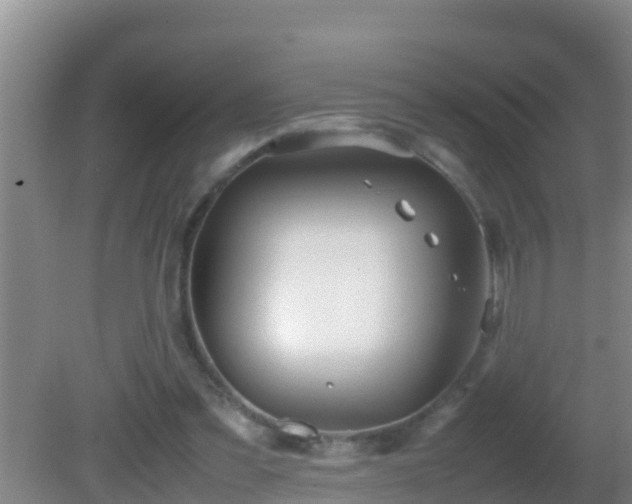 X0000081610301200701221209